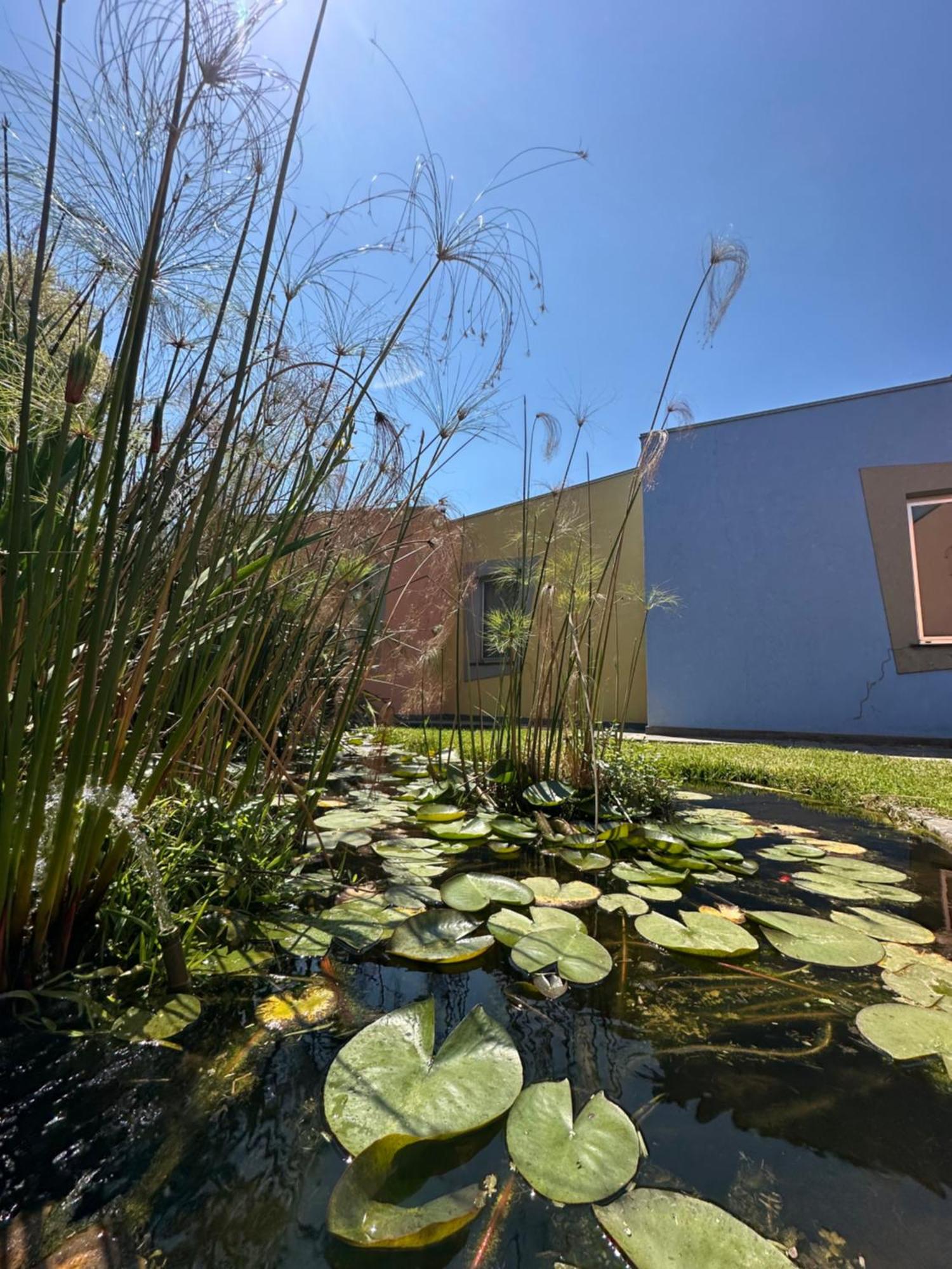 מלון Ibis Styles Catania אסראלה מראה חיצוני תמונה